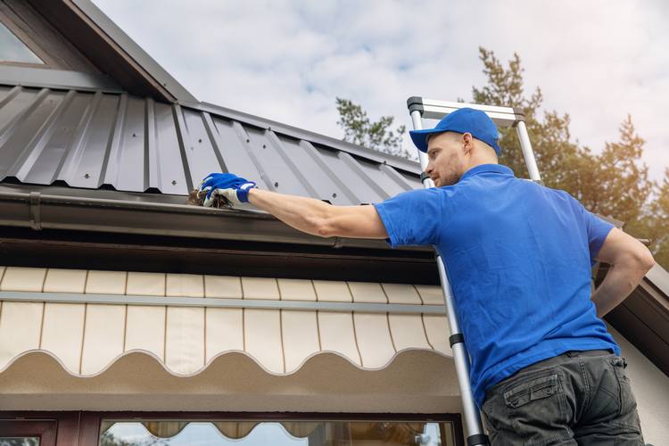 Suffolk County roof cleaning
