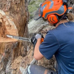 Tree and shrub protection made easier with consistent plant health care plans.