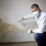 Mold Removal Service Planning for Renovation and Property Restoration Projects